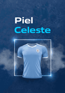 Proyecto AUF – Piel celeste